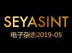 SEYASINT電子雜志2019-05